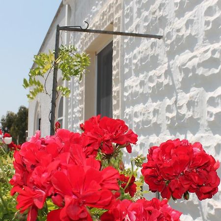 B&B Stella Marina Manfredonia Bagian luar foto